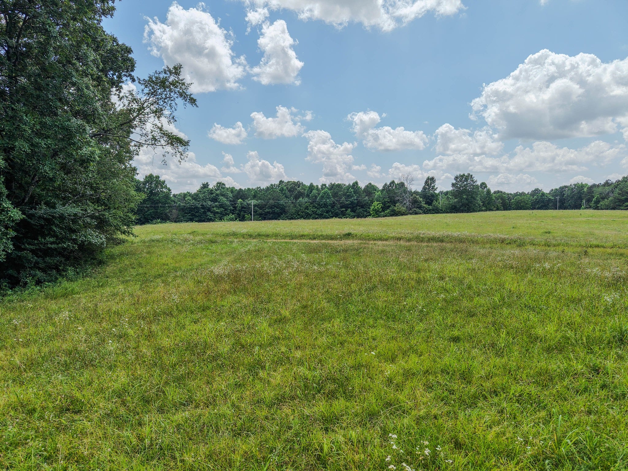 215 Clear Creek Rd