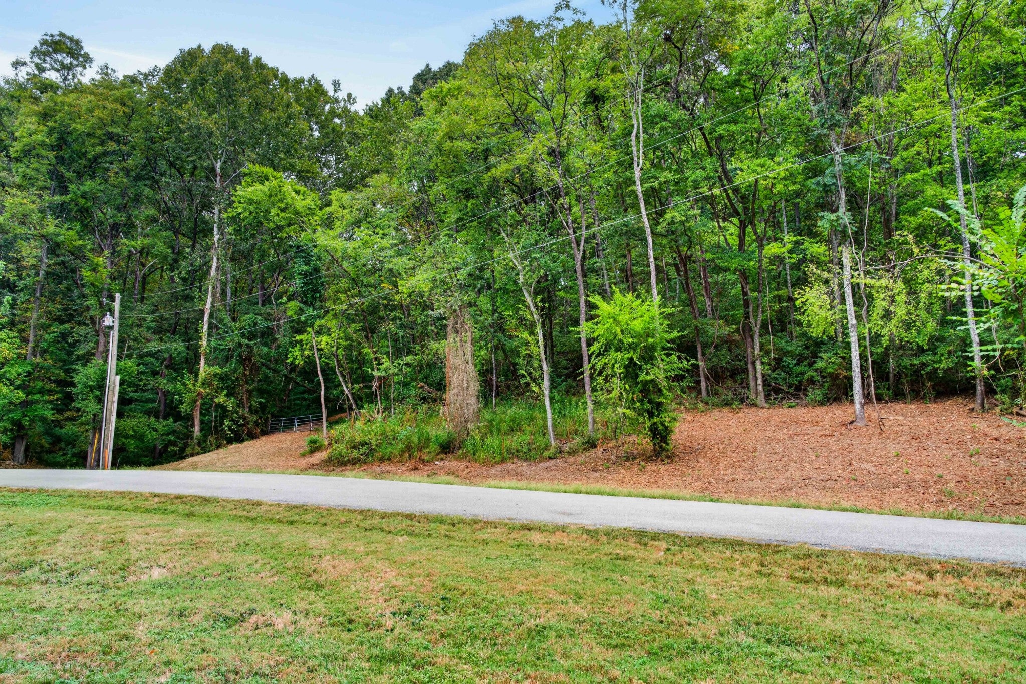 218 Forest Ridge Ct
