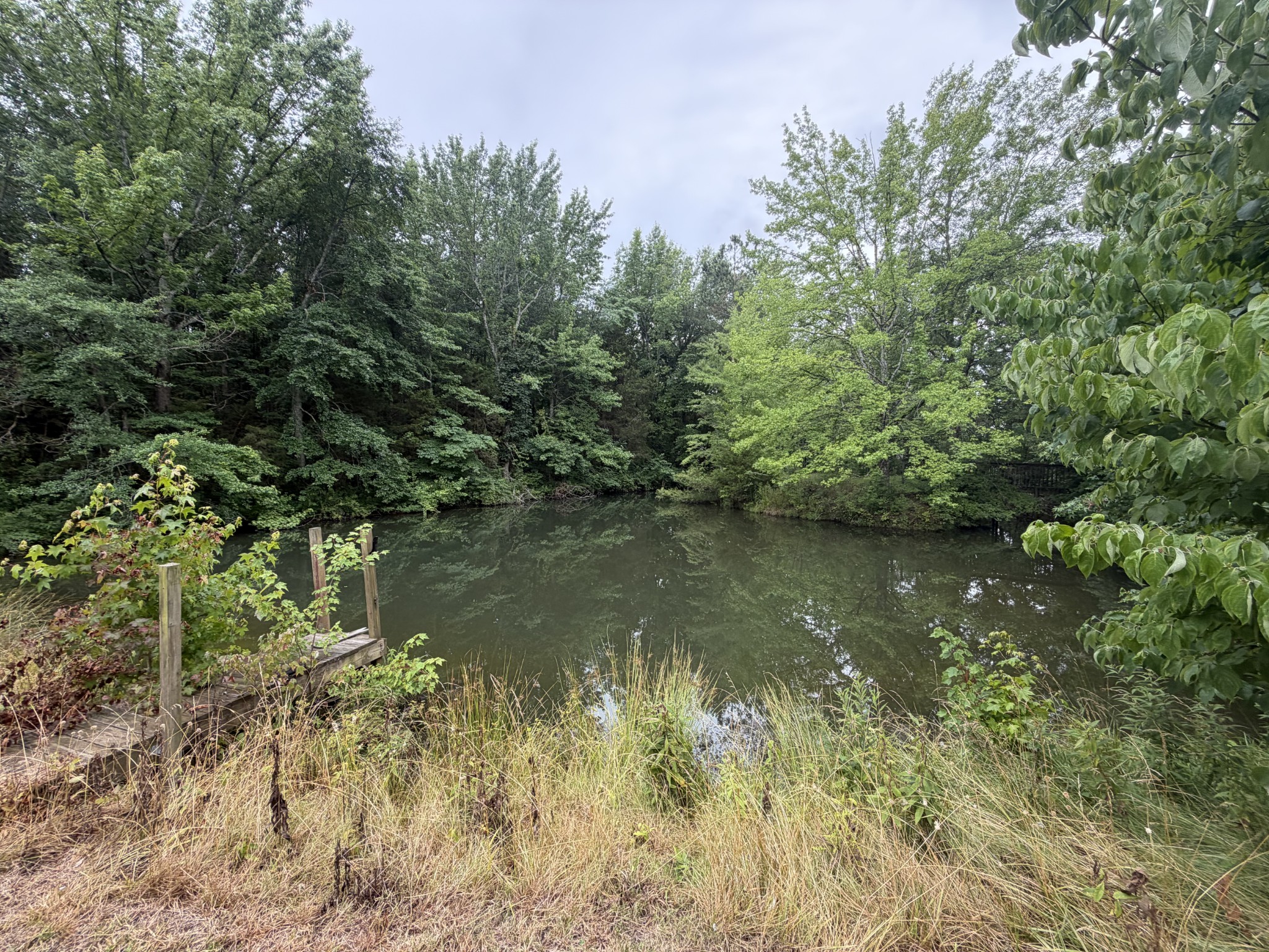 512 W Market St - Photo 3