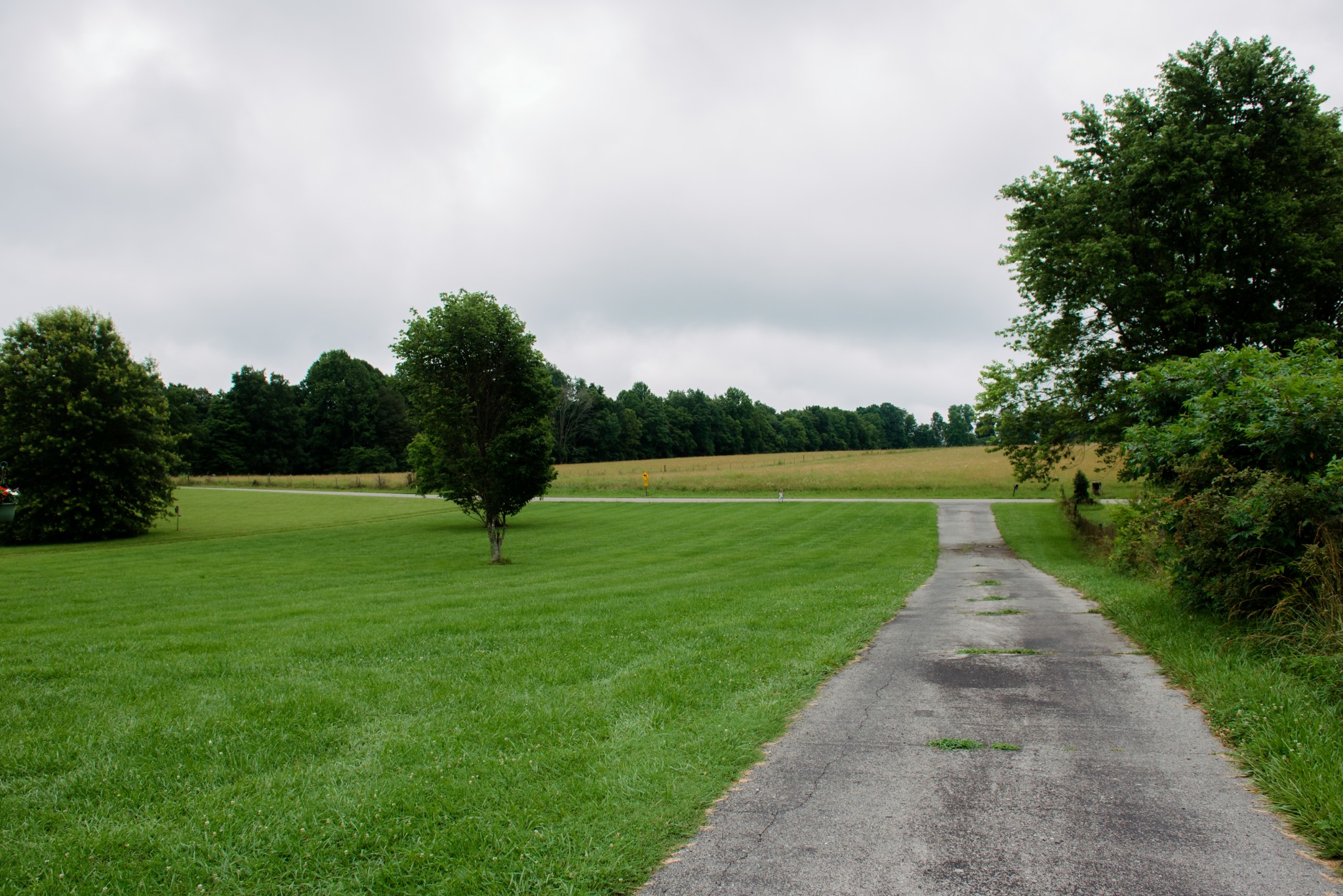 417 Buttermilk Hollow Rd