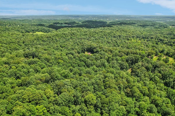 4645 FRANKIE RD, INDIAN MOUND, TN 37079 - Image 4fdc4f802d30c62aad3fb8eb88340e9d/4043630404