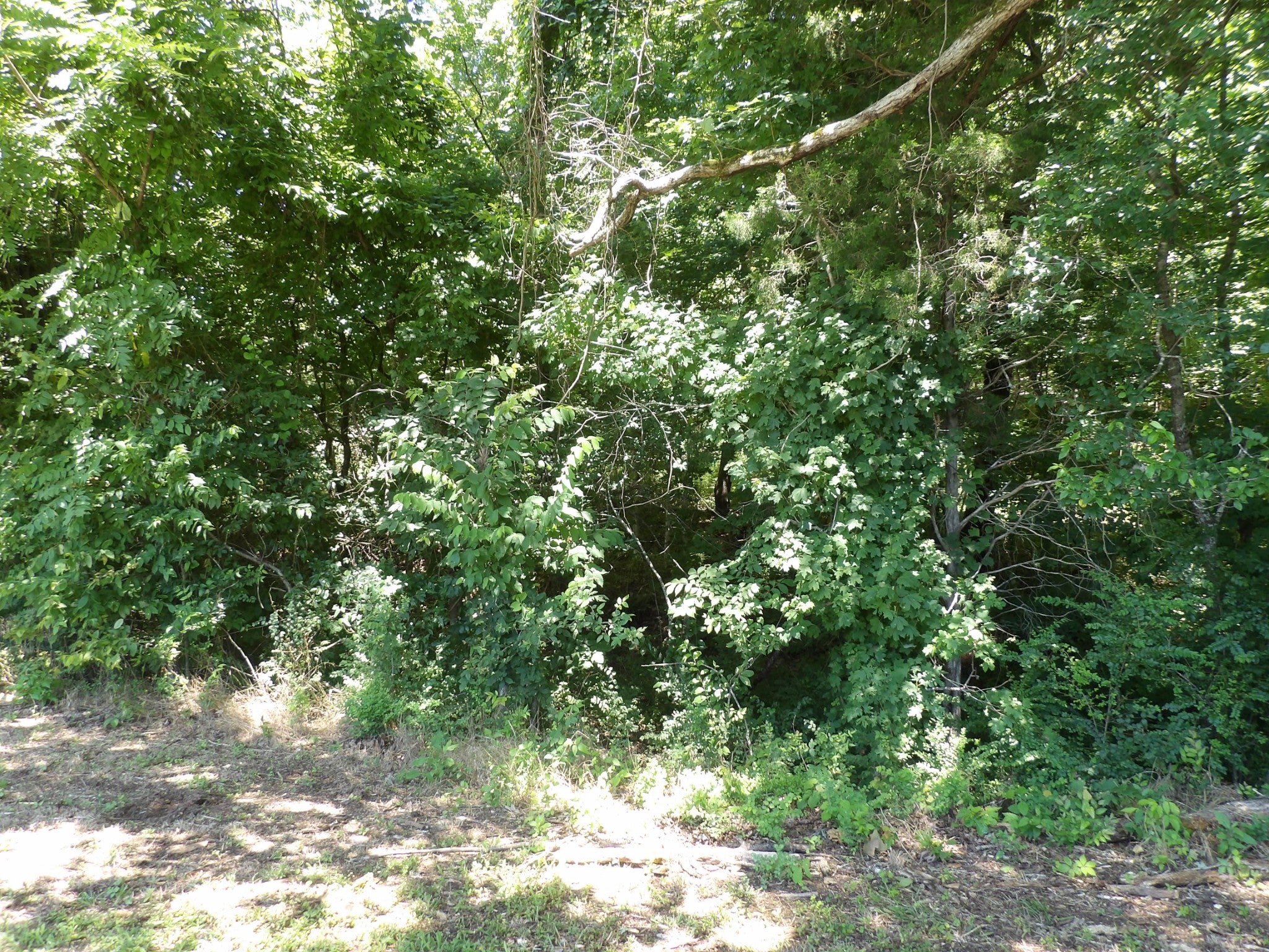 587 W Little Richland Rd