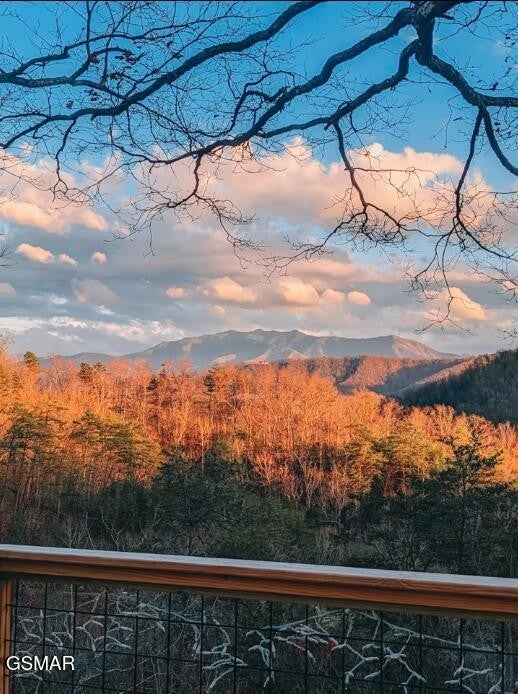 1146 Pine Mountain Road