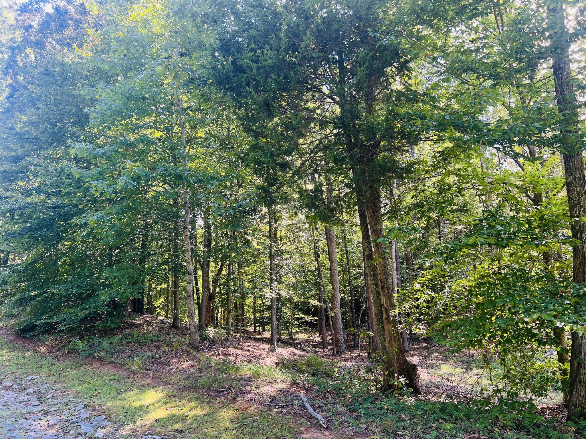 0 Excalibur Trail