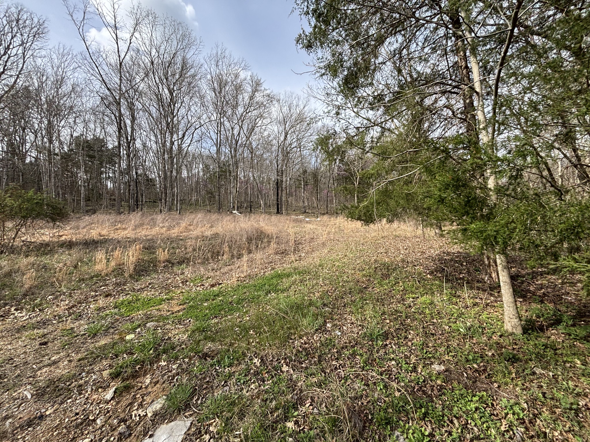 2200 Rock Springs Rd