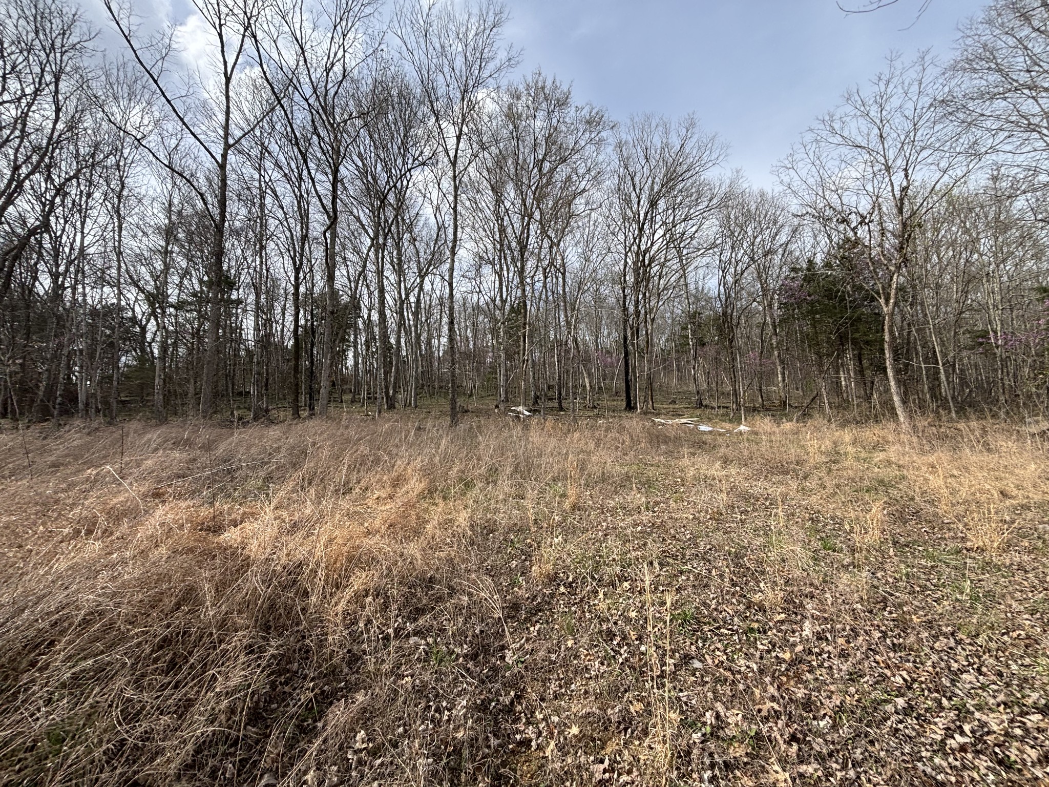 2200 Rock Springs Rd