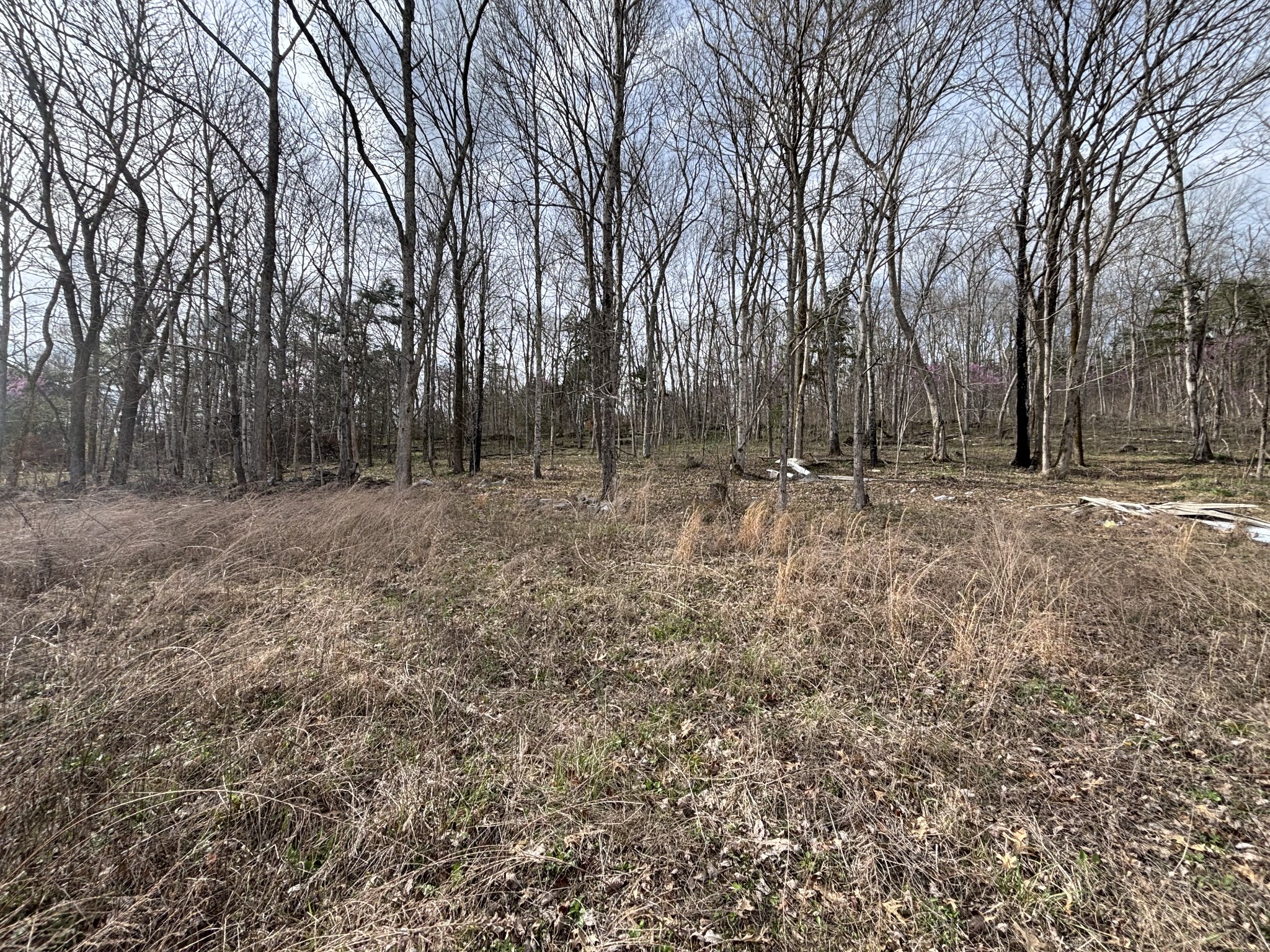 2200 Rock Springs Rd