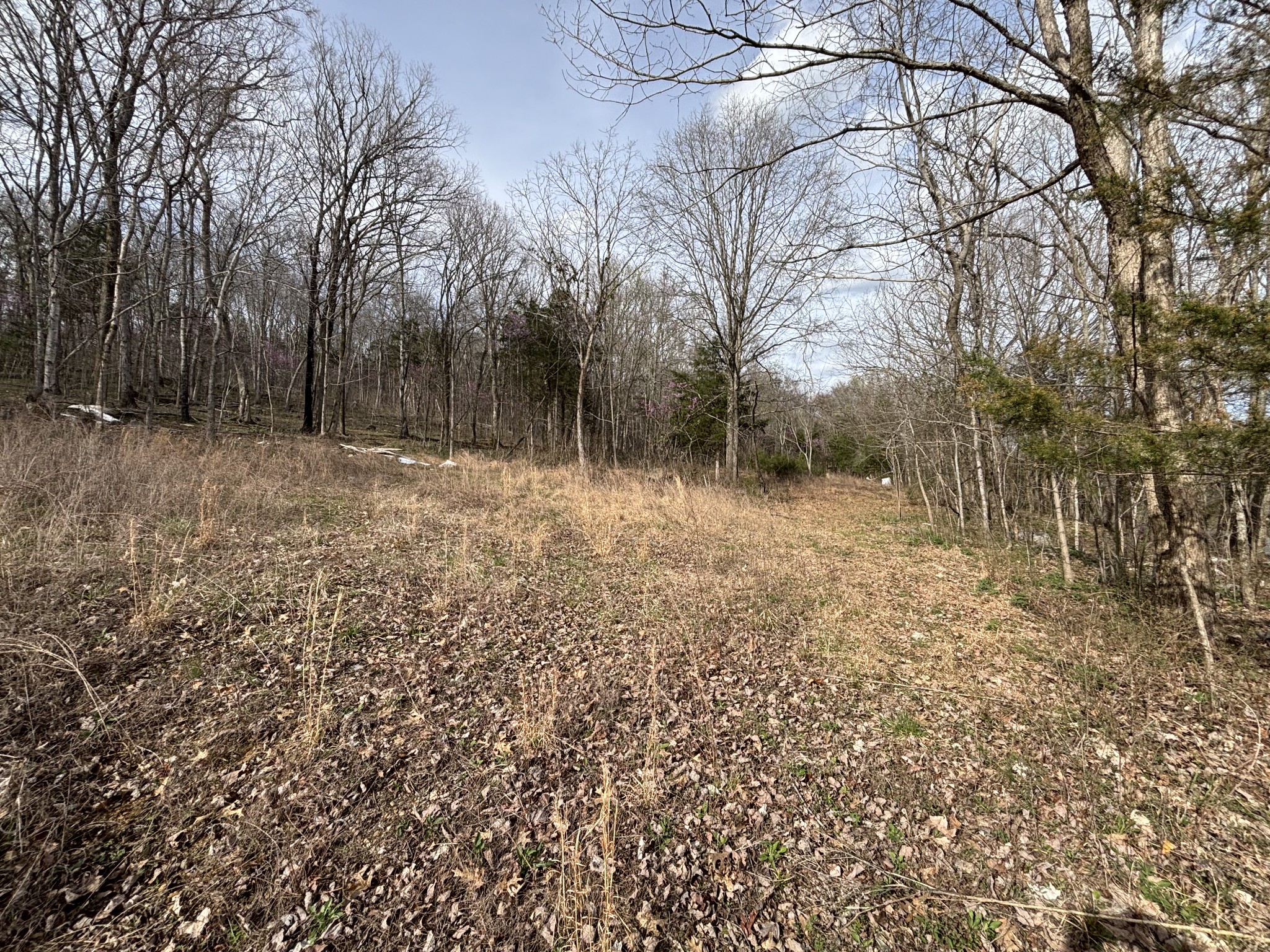 2200 Rock Springs Rd