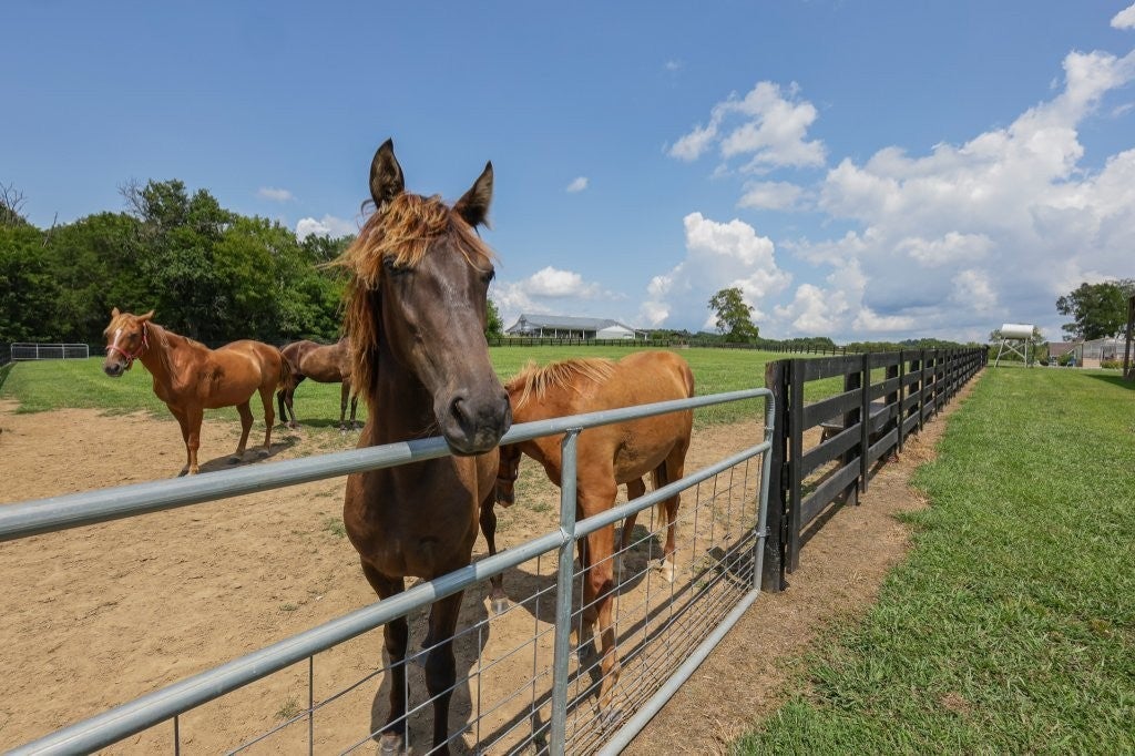 121 Wartrace Creek Rd