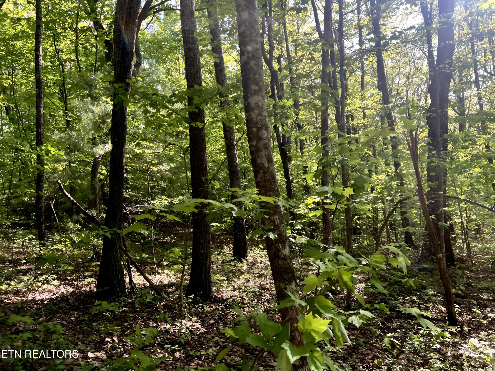 328 Peavine Firetower Rd