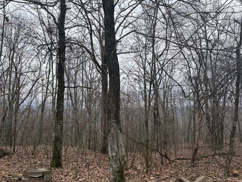 0 Nancy Wynn Ln Sewanee TN 37375