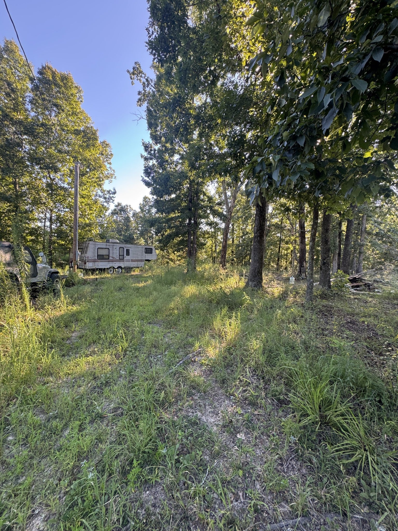 175 Fern Springs Rd