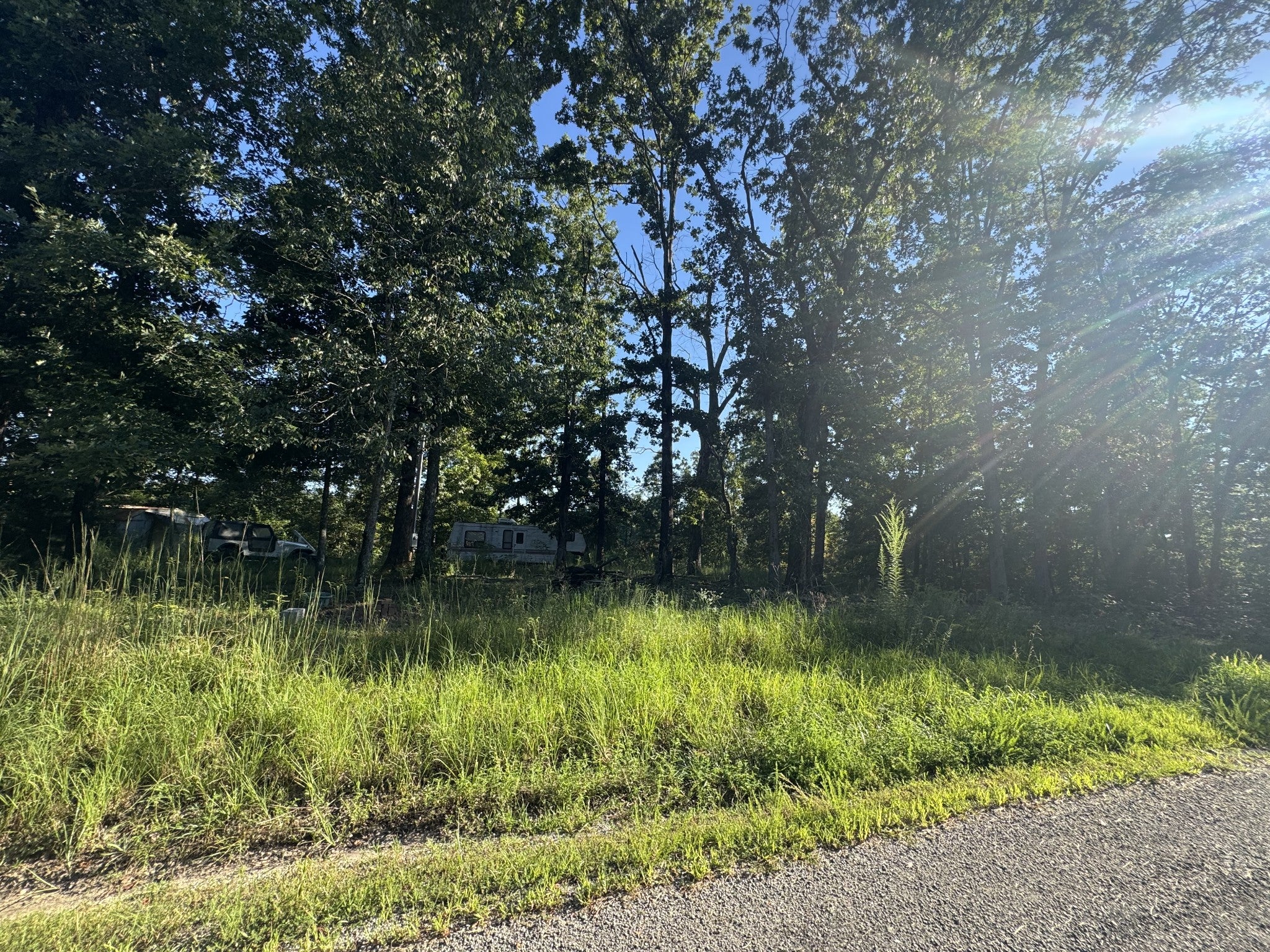 175 Fern Springs Rd
