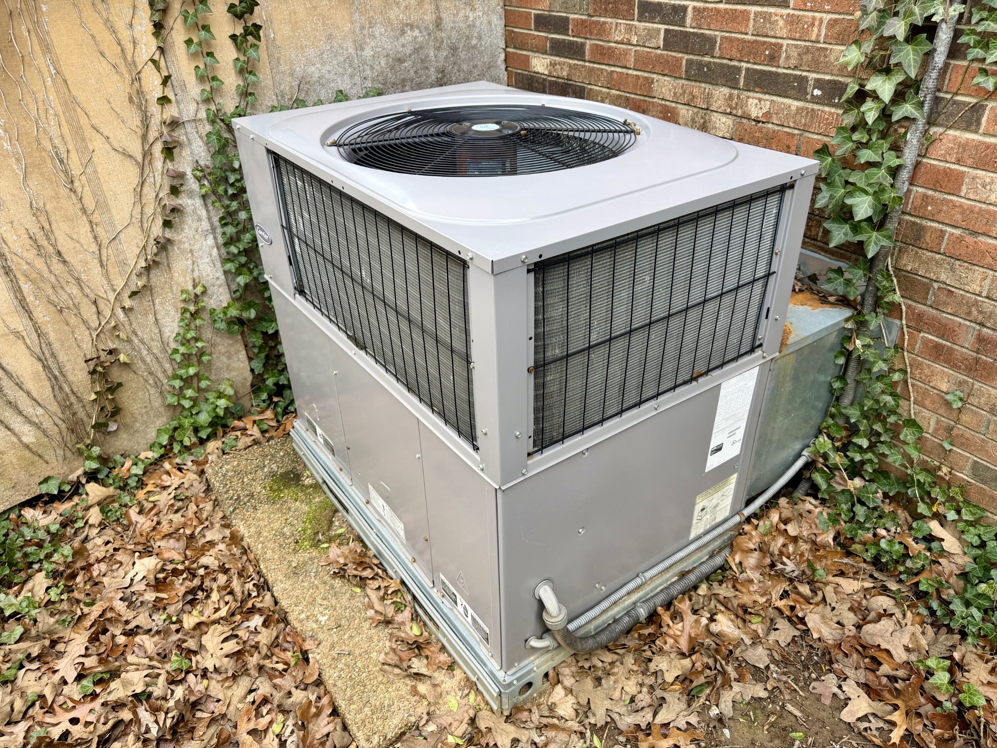 10555 New Cut Off Rd