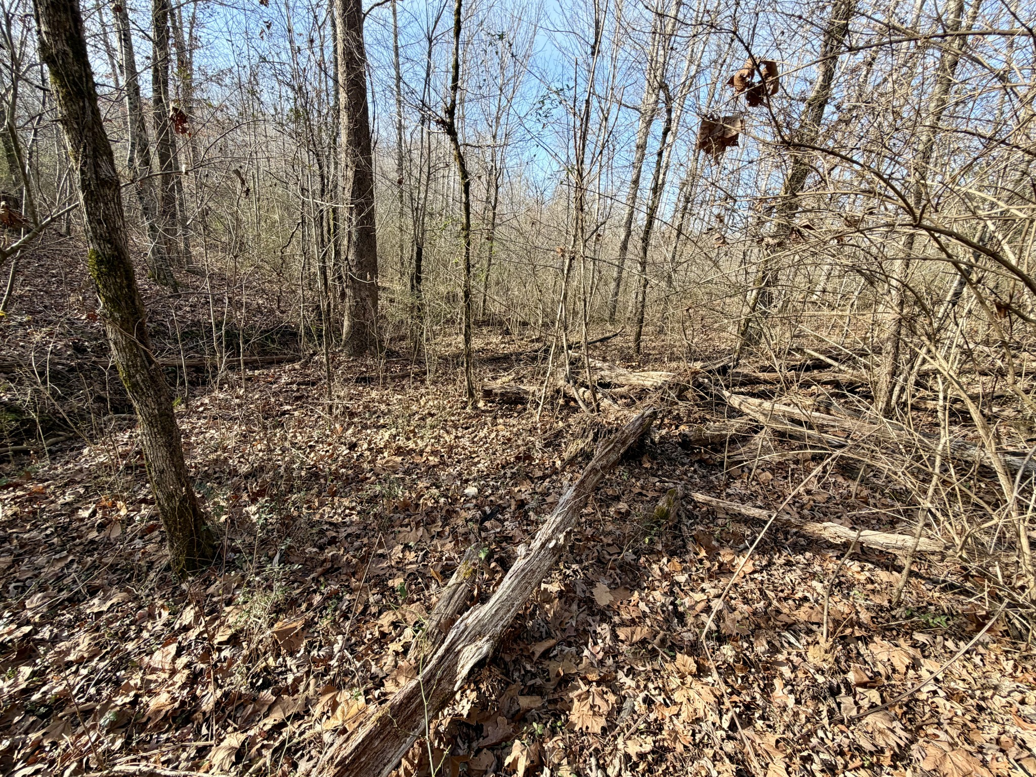 10555 New Cut Off Rd