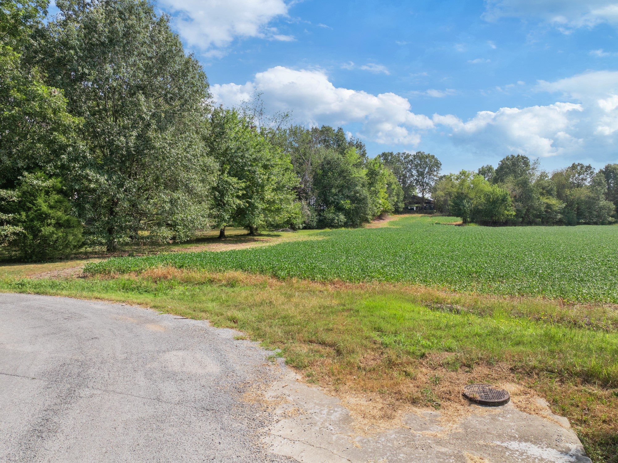 203 PEACE AND HARMONY ROAD - Photo 2
