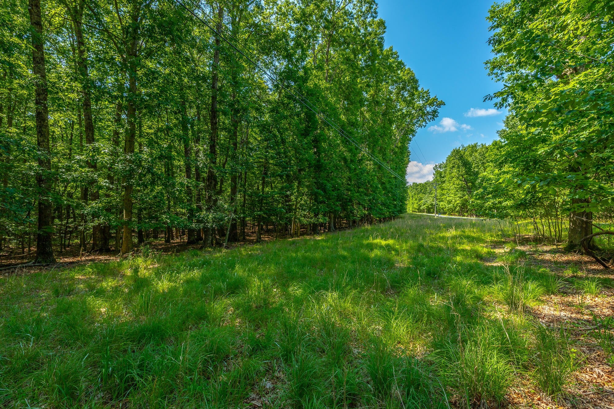 0 Deep Woods Road