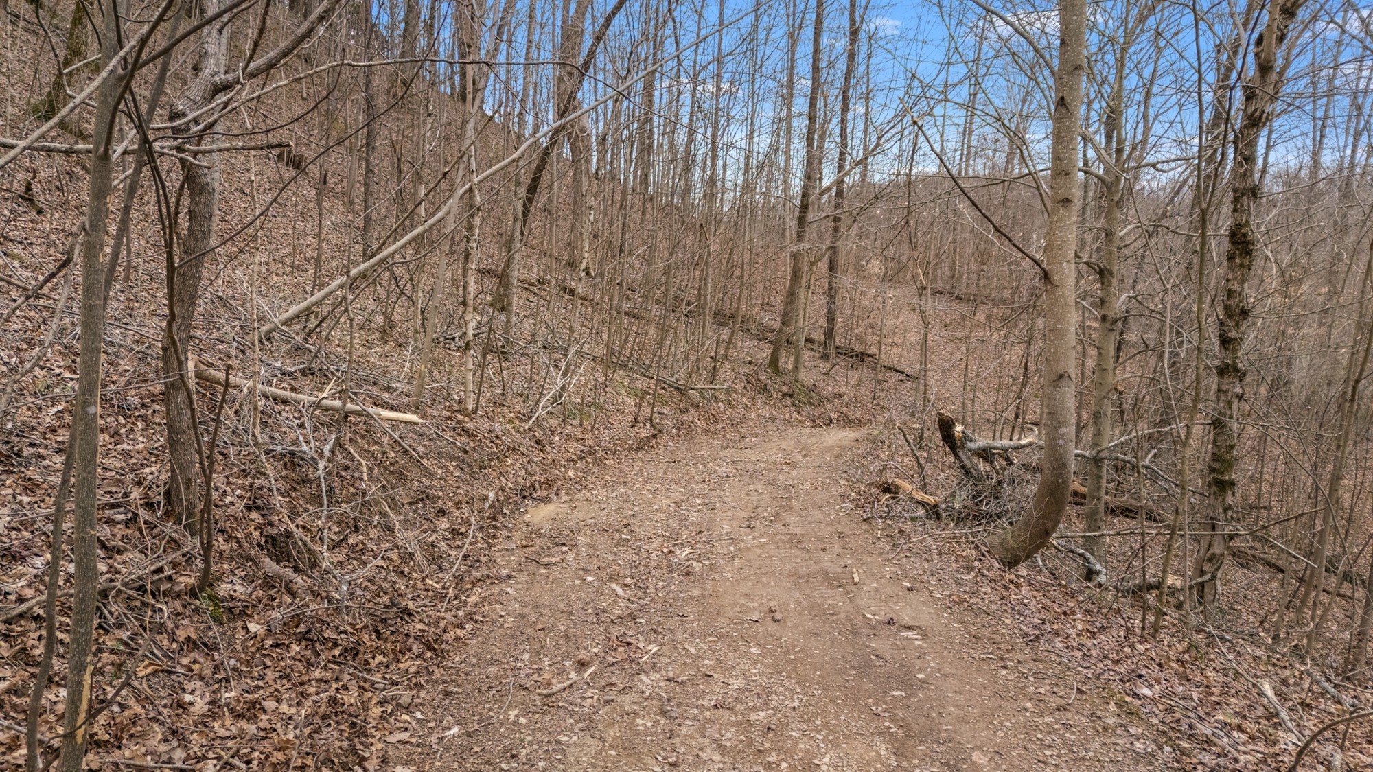 640 Lindsey Hollow Rd