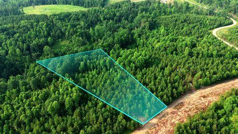 0 Cox Hollow Dover TN 37058