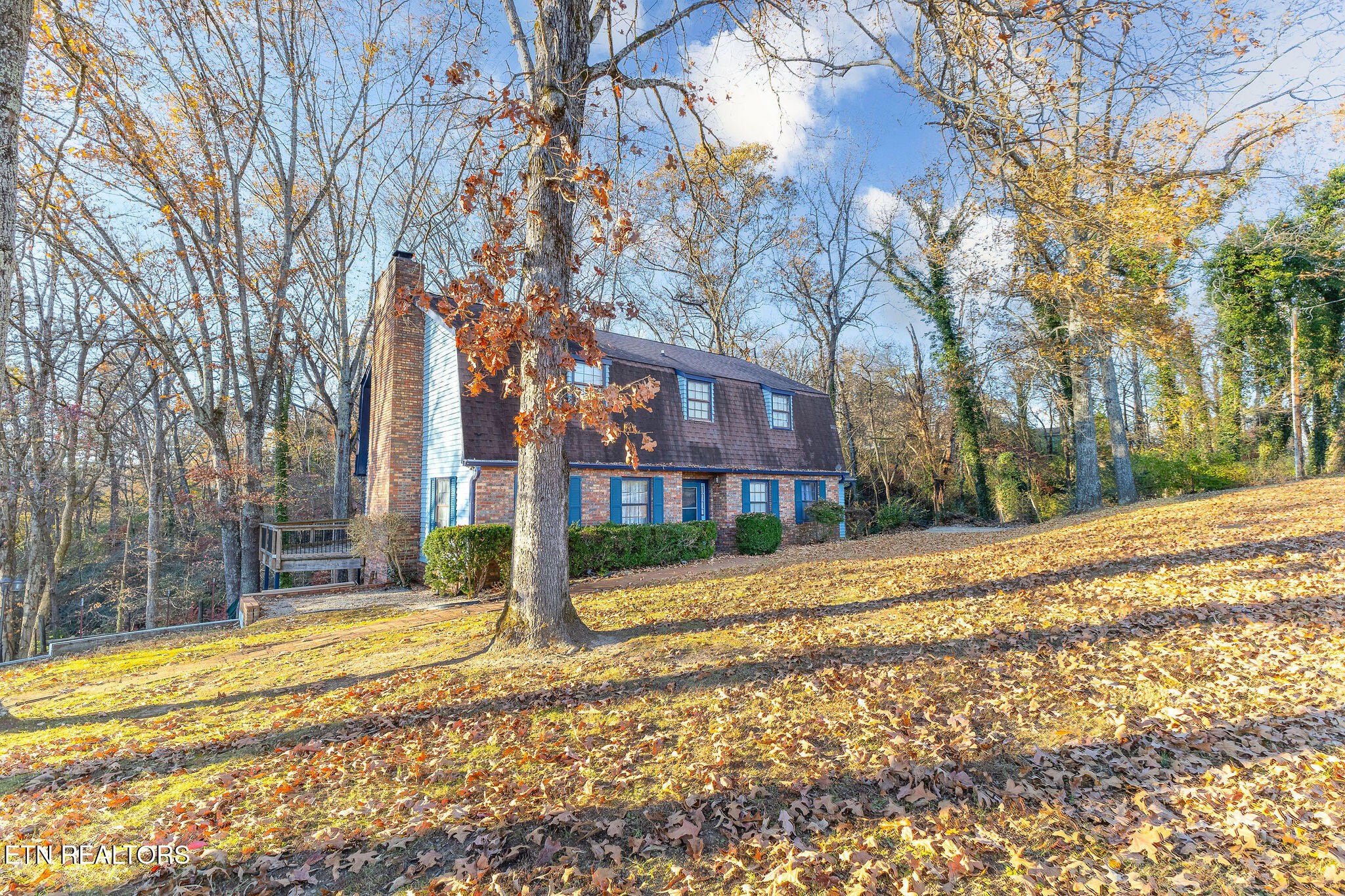 613 Patton Ferry Rd