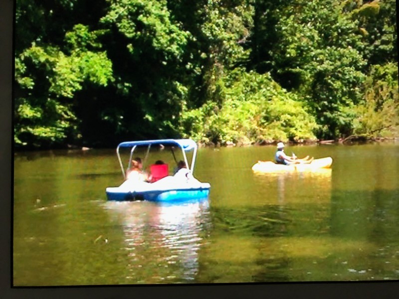 1321 Chapmansboro Rd