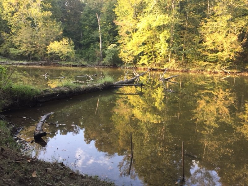 1321 Chapmansboro Rd