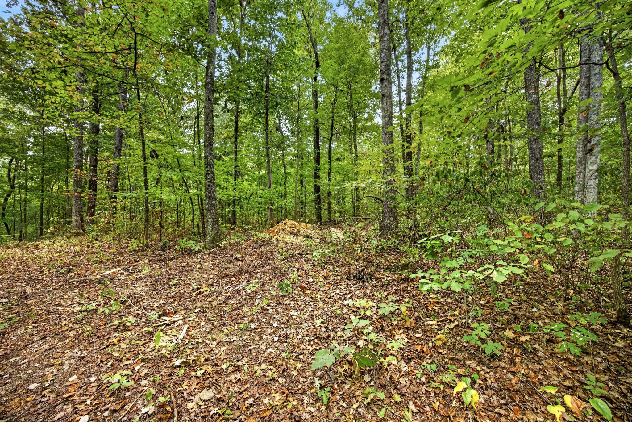 0 Timber Ridge Lane