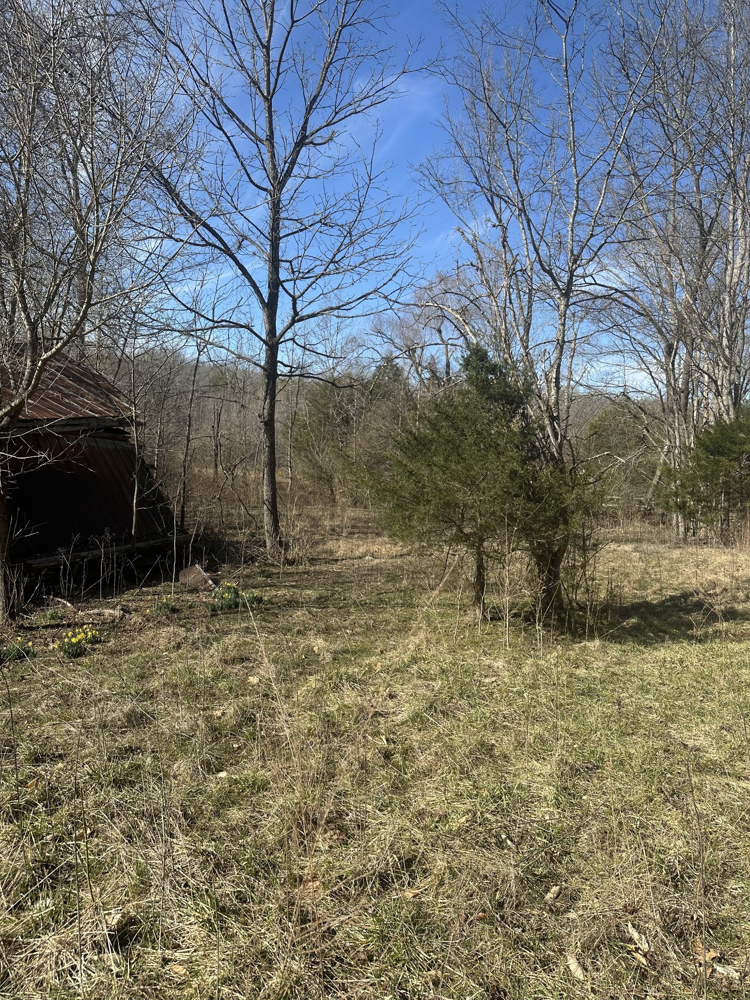 0 Buck Branch Rd
