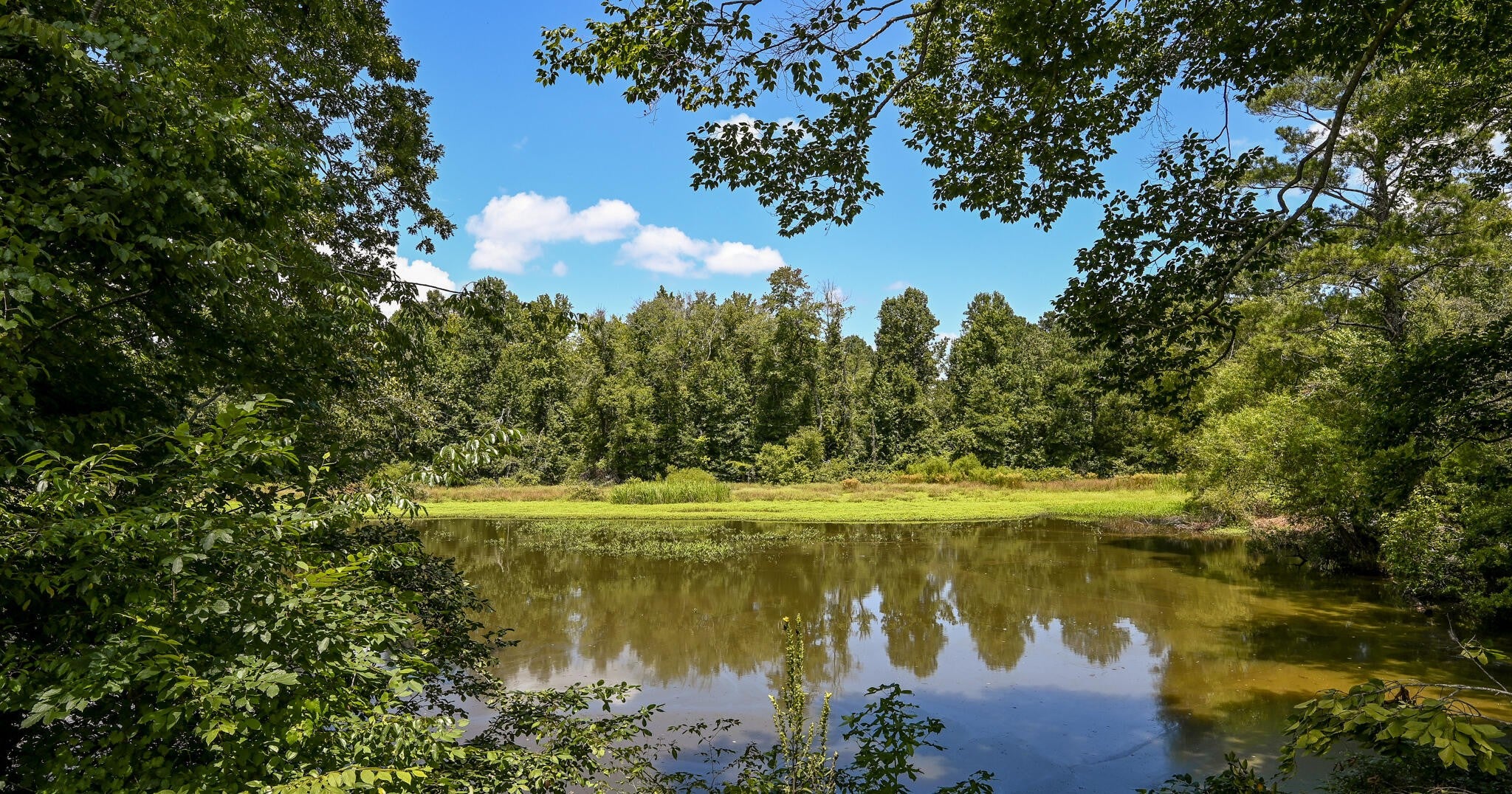 236 Sam Johnson Road NW
