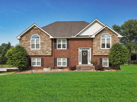 Photo of 306 Michael Cir, Mount Juliet, TN 37122 (MLS # 3211165)