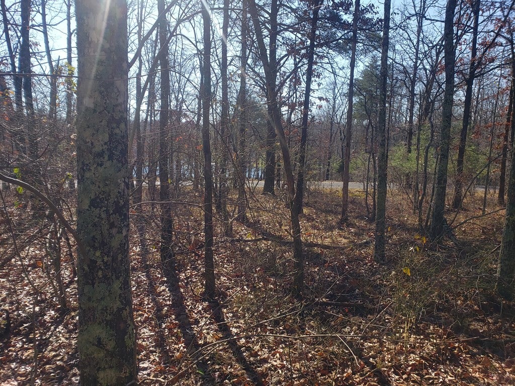 44 Hemlock Ln