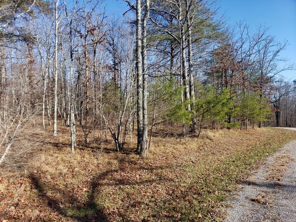 44 Hemlock Ln