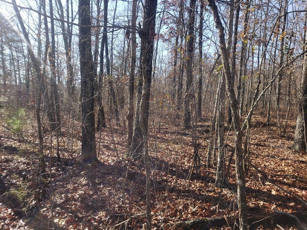 44 Hemlock Ln