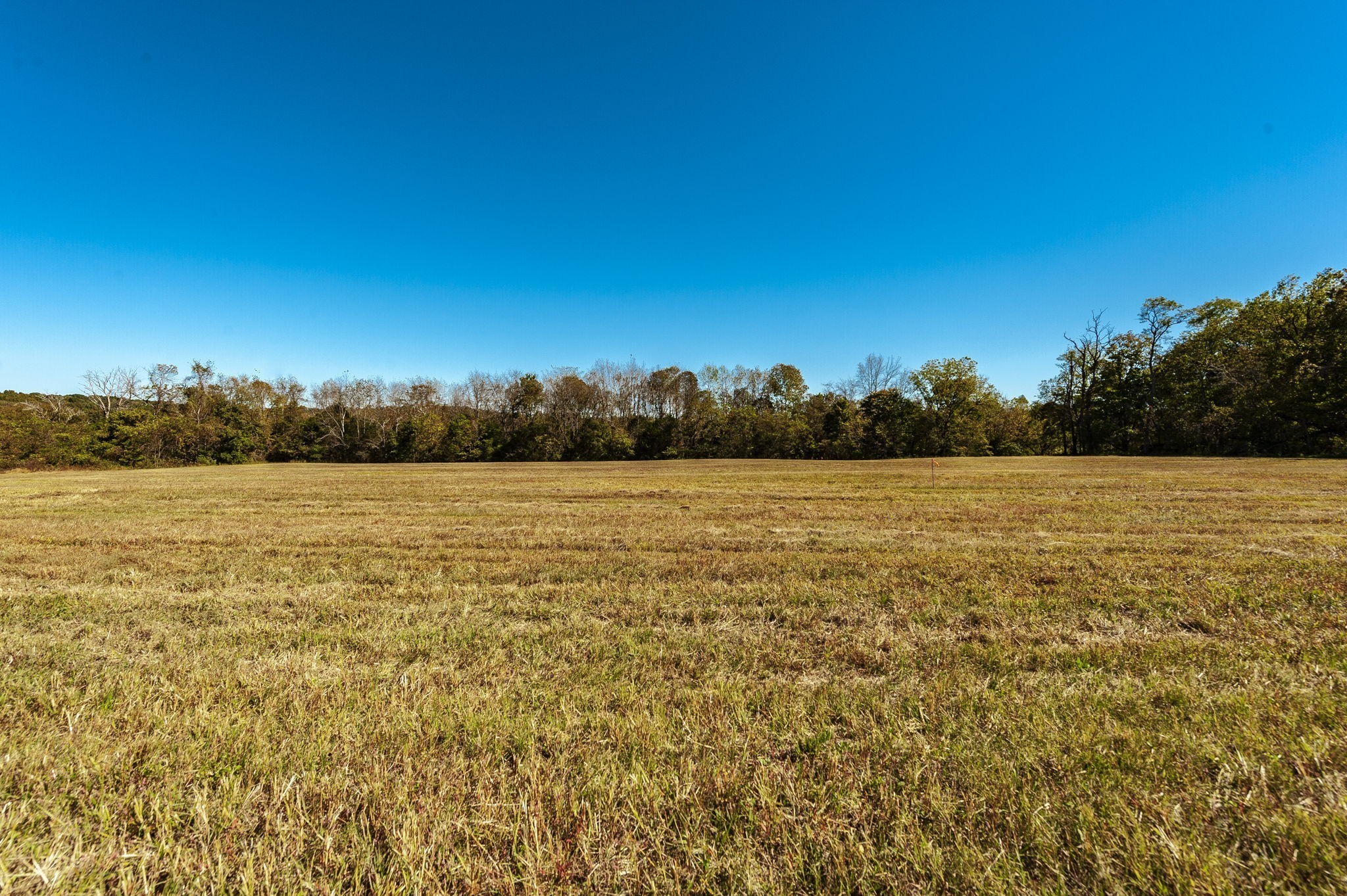 0 Harper Road - Photo 3