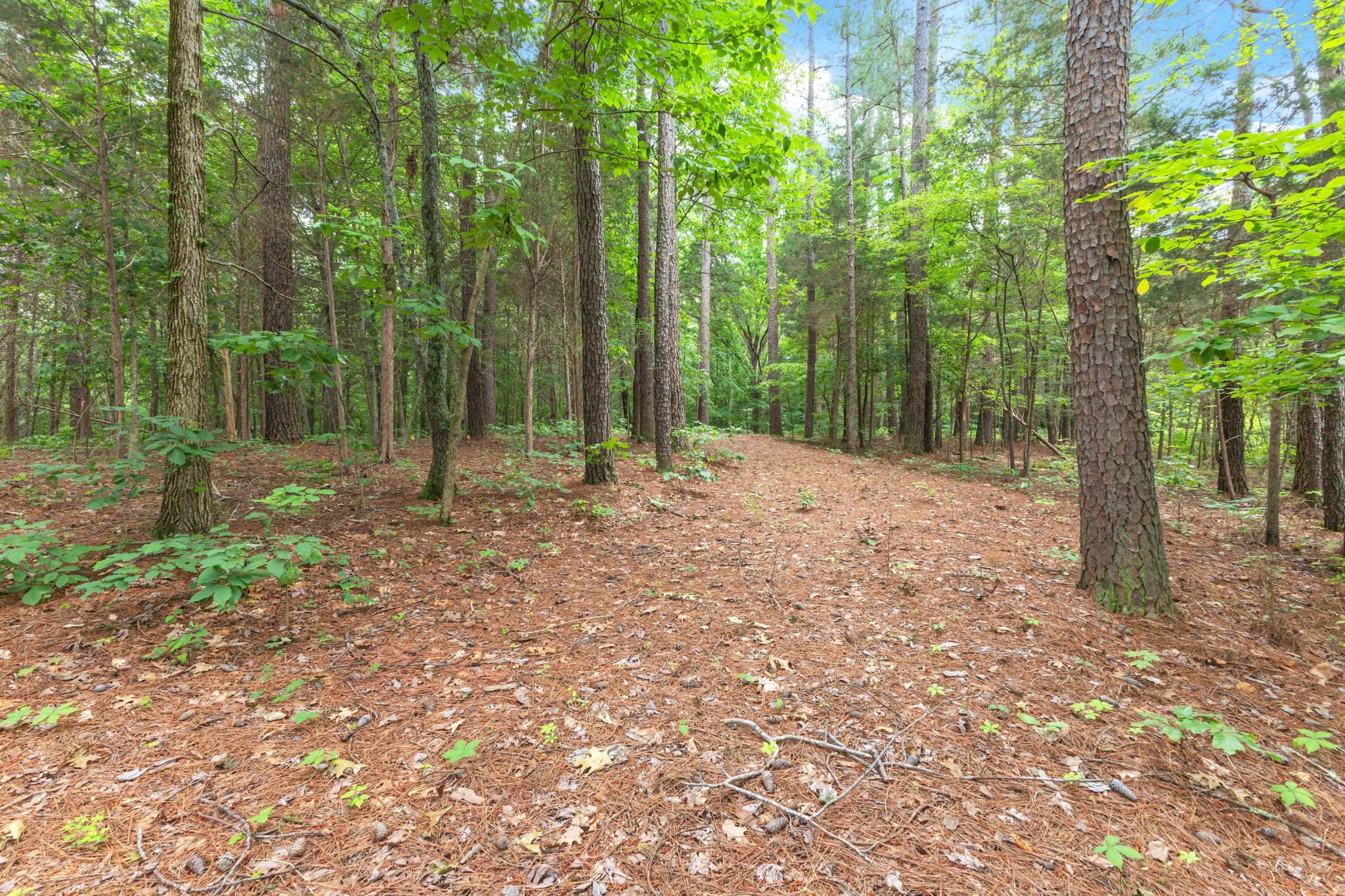 5082 Moorefield Rd