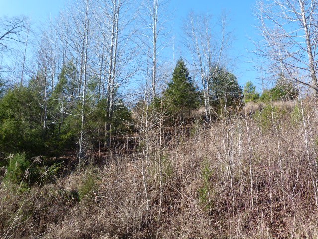 104 Salem Rd