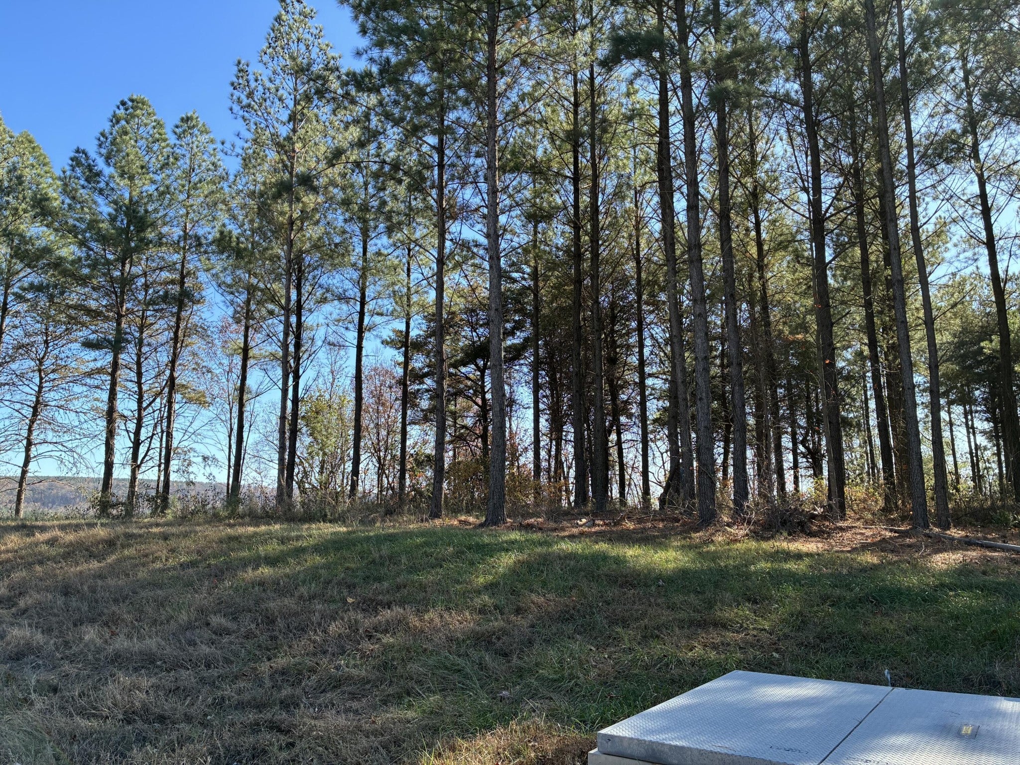 4690 Split Rail Way