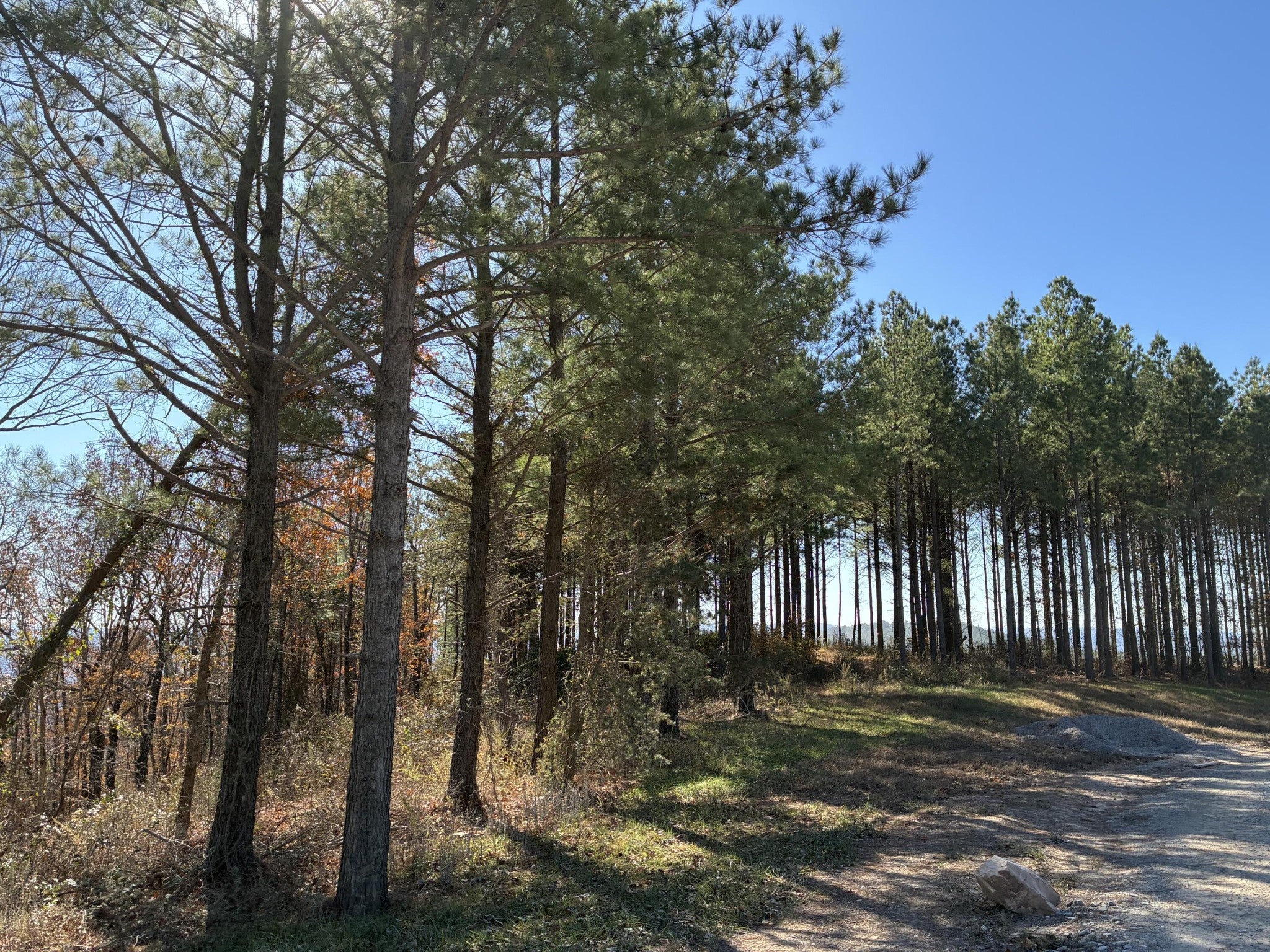 4690 Split Rail Way