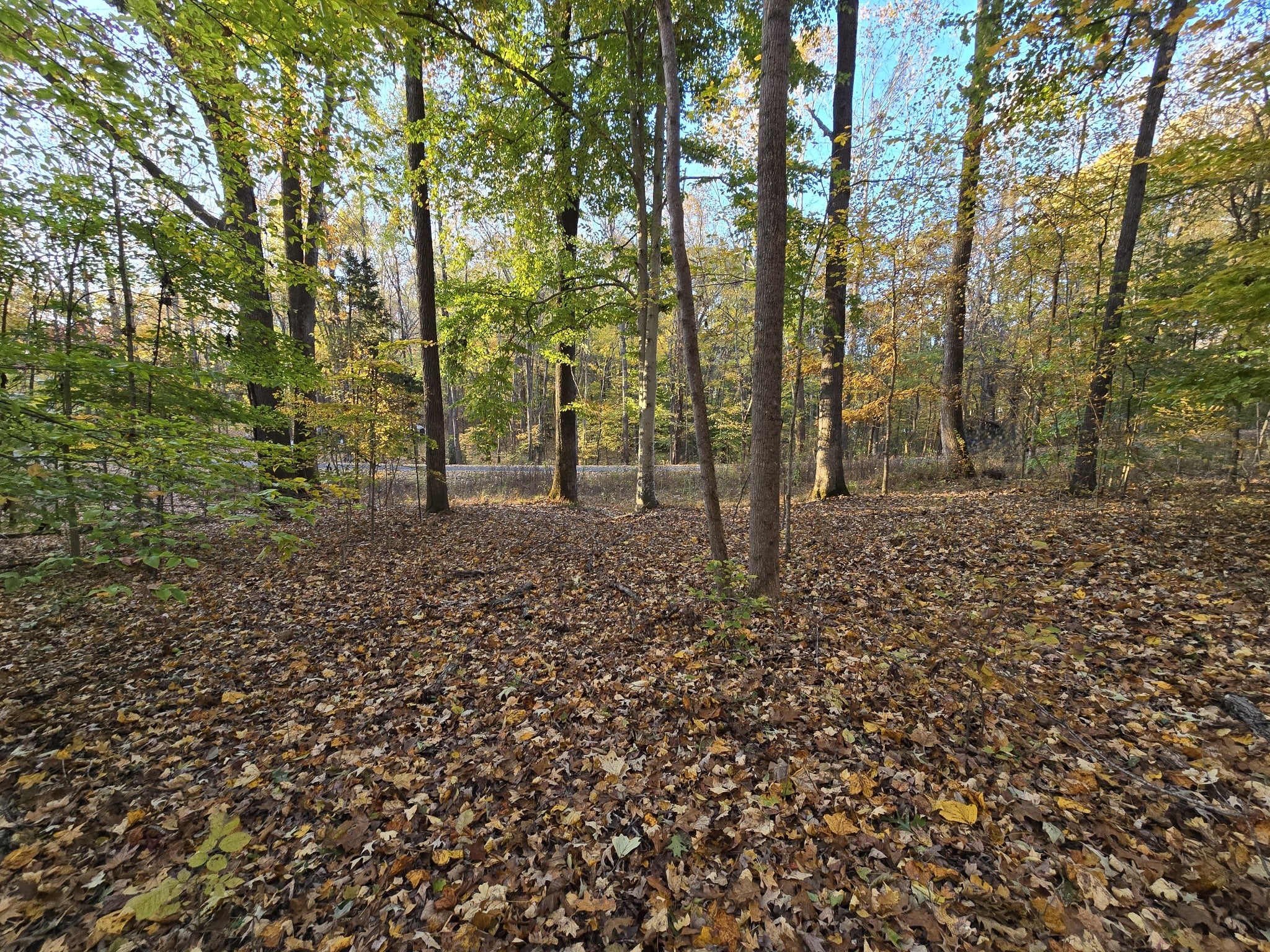 14 Rockcastle Shores