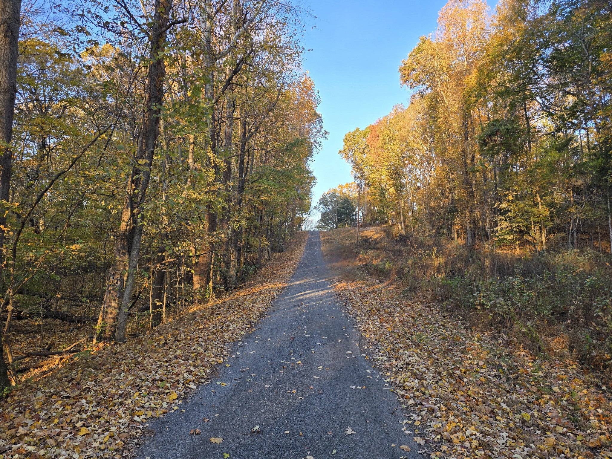 14 Rockcastle Shores