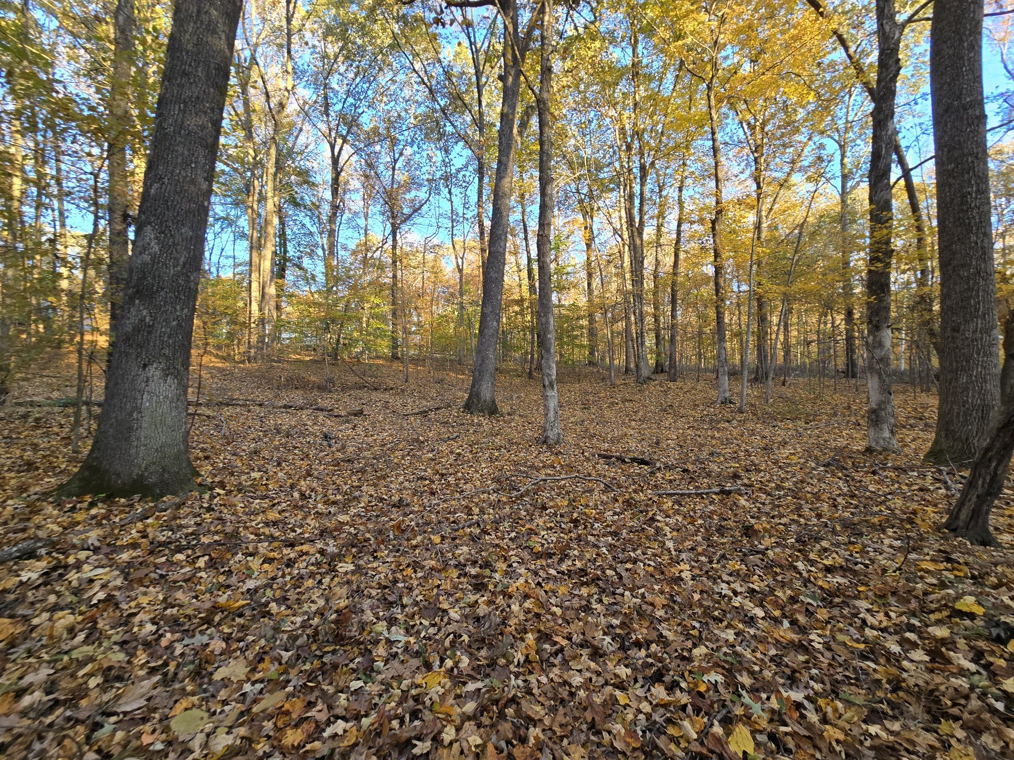 14 Rockcastle Shores