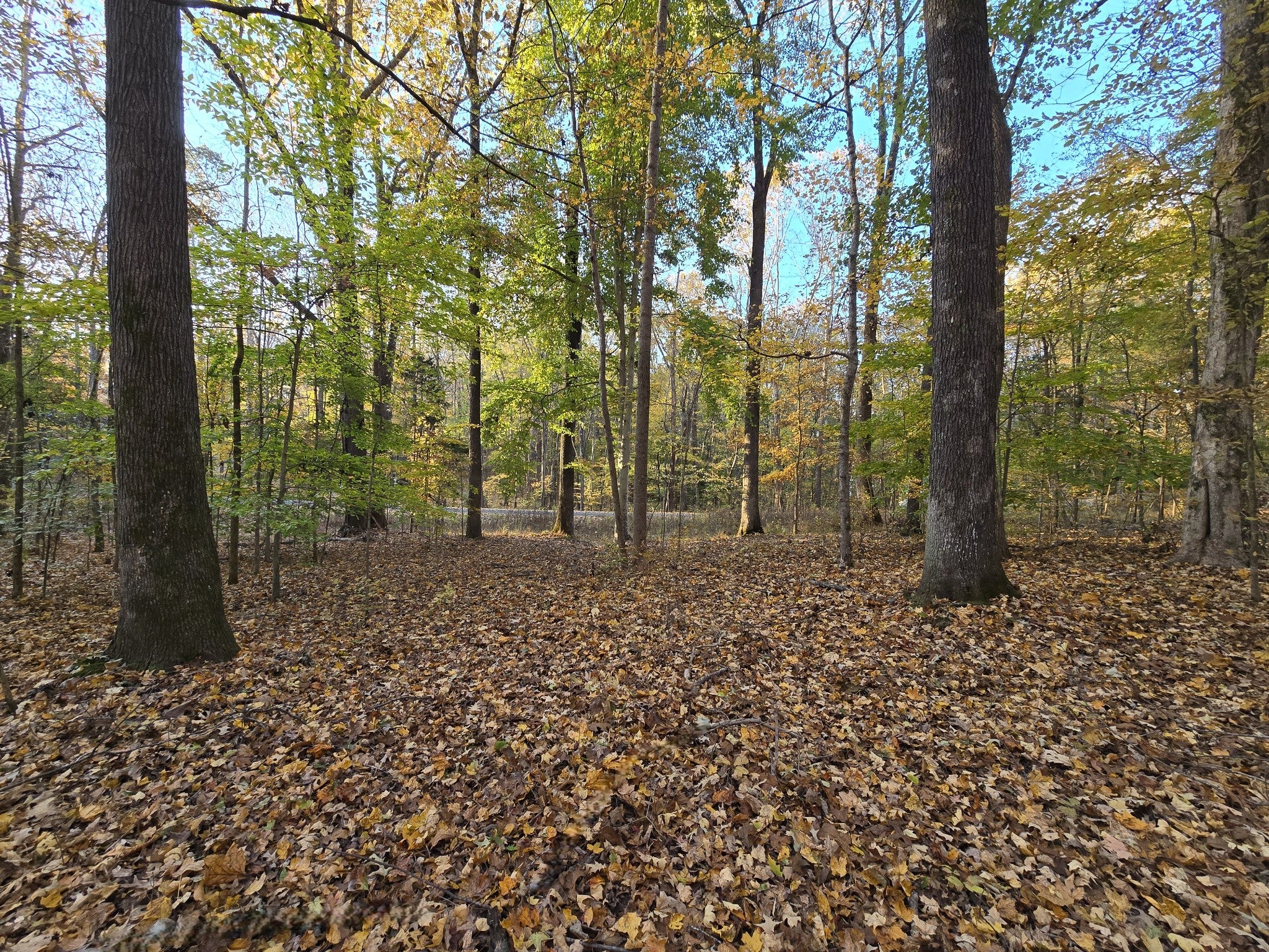 14 Rockcastle Shores