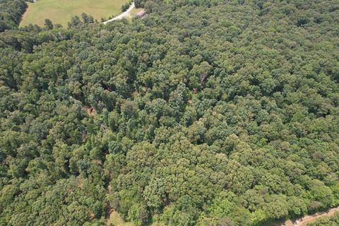 0 Webb Rd Ext Summertown TN 38483