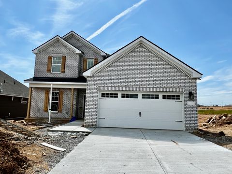3919 Trinity Woods Rd, Columbia, TN 38401 - MLS#: 2824851