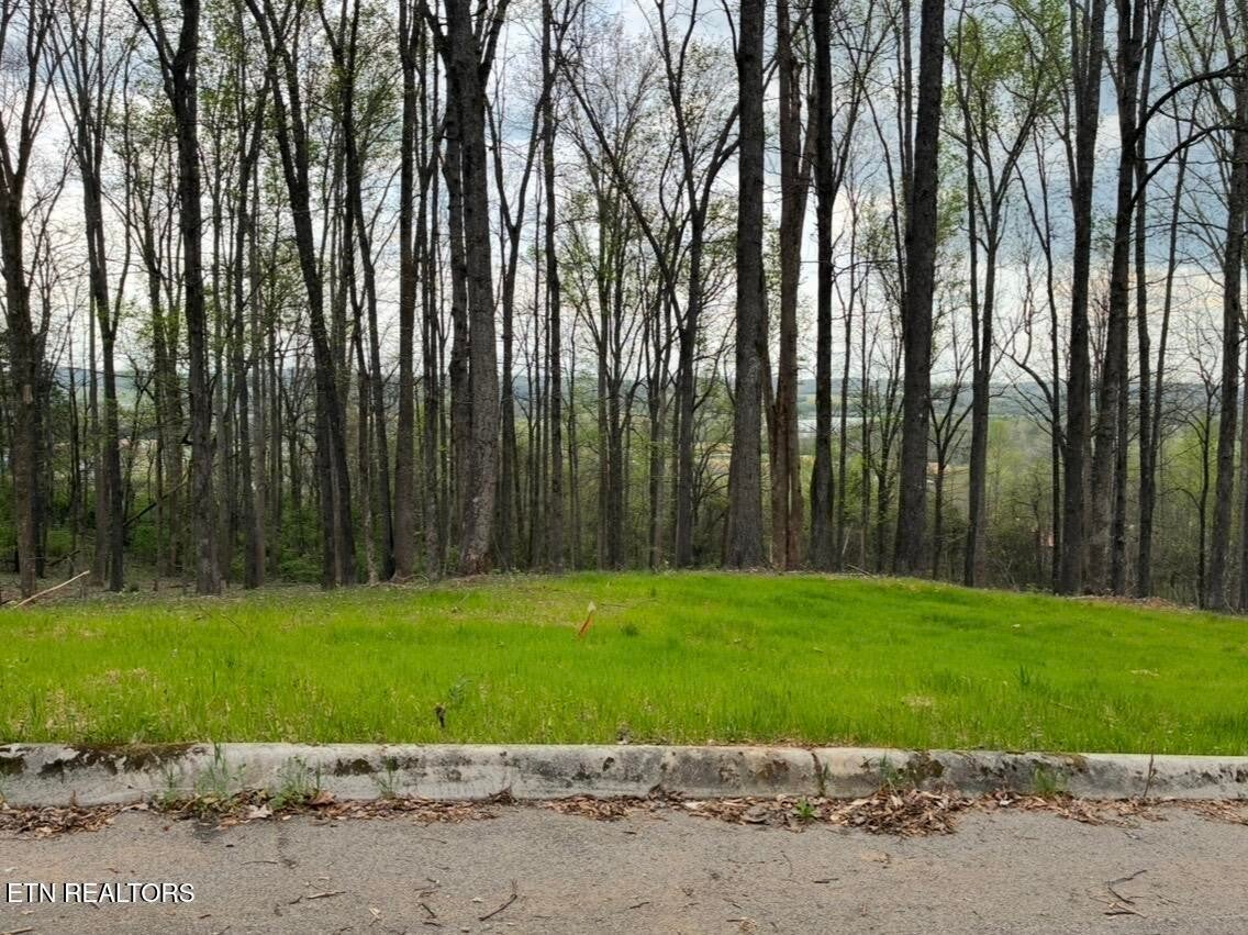0 Poplar Drive