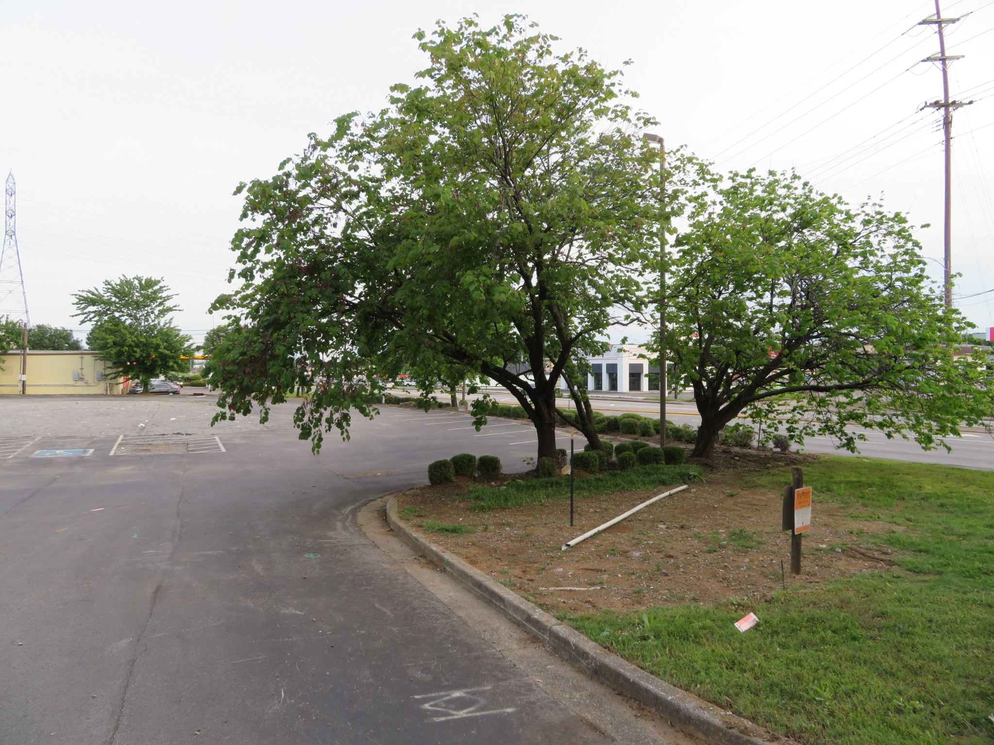 708 Rivergate Pkwy