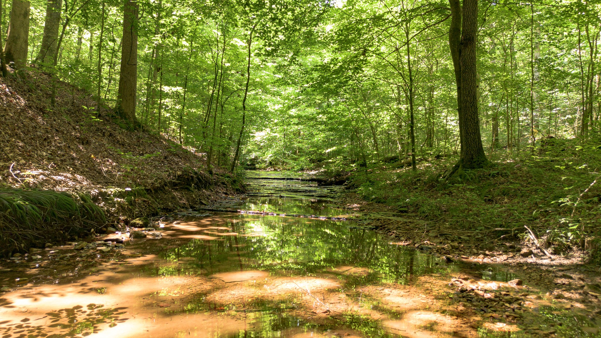 8234 Old Pond Creek Rd
