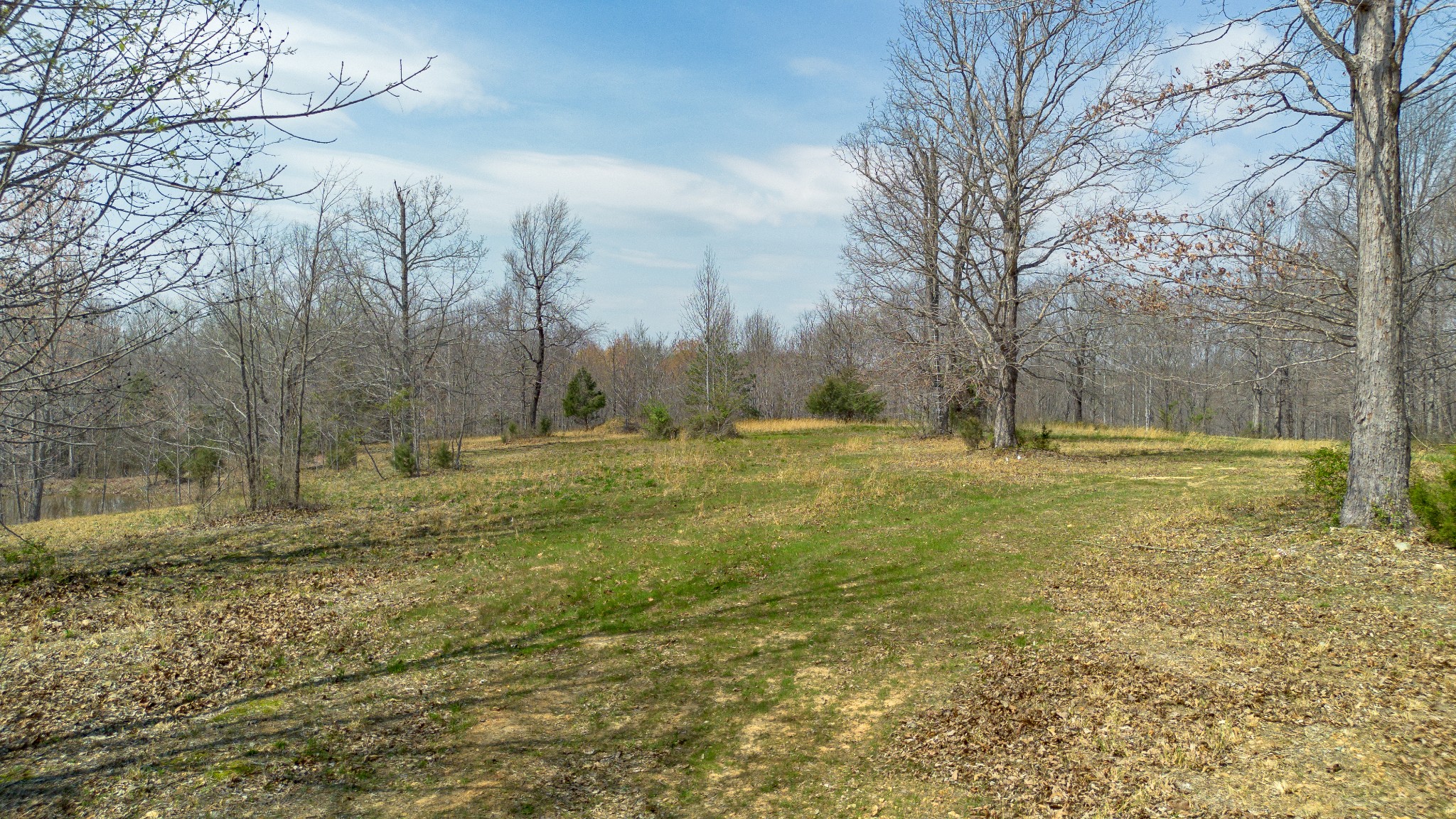 8234 Old Pond Creek Rd