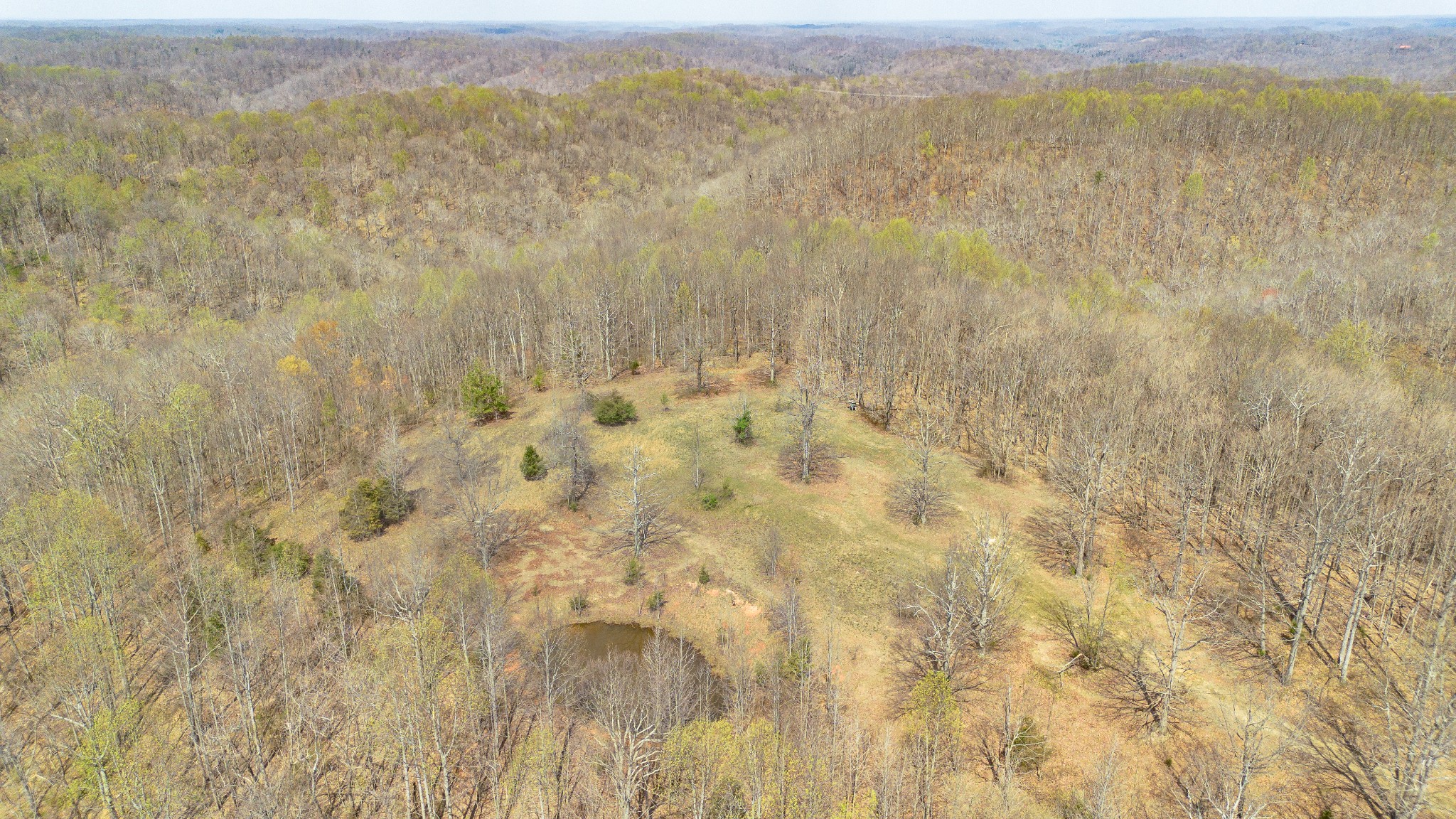8234 Old Pond Creek Rd