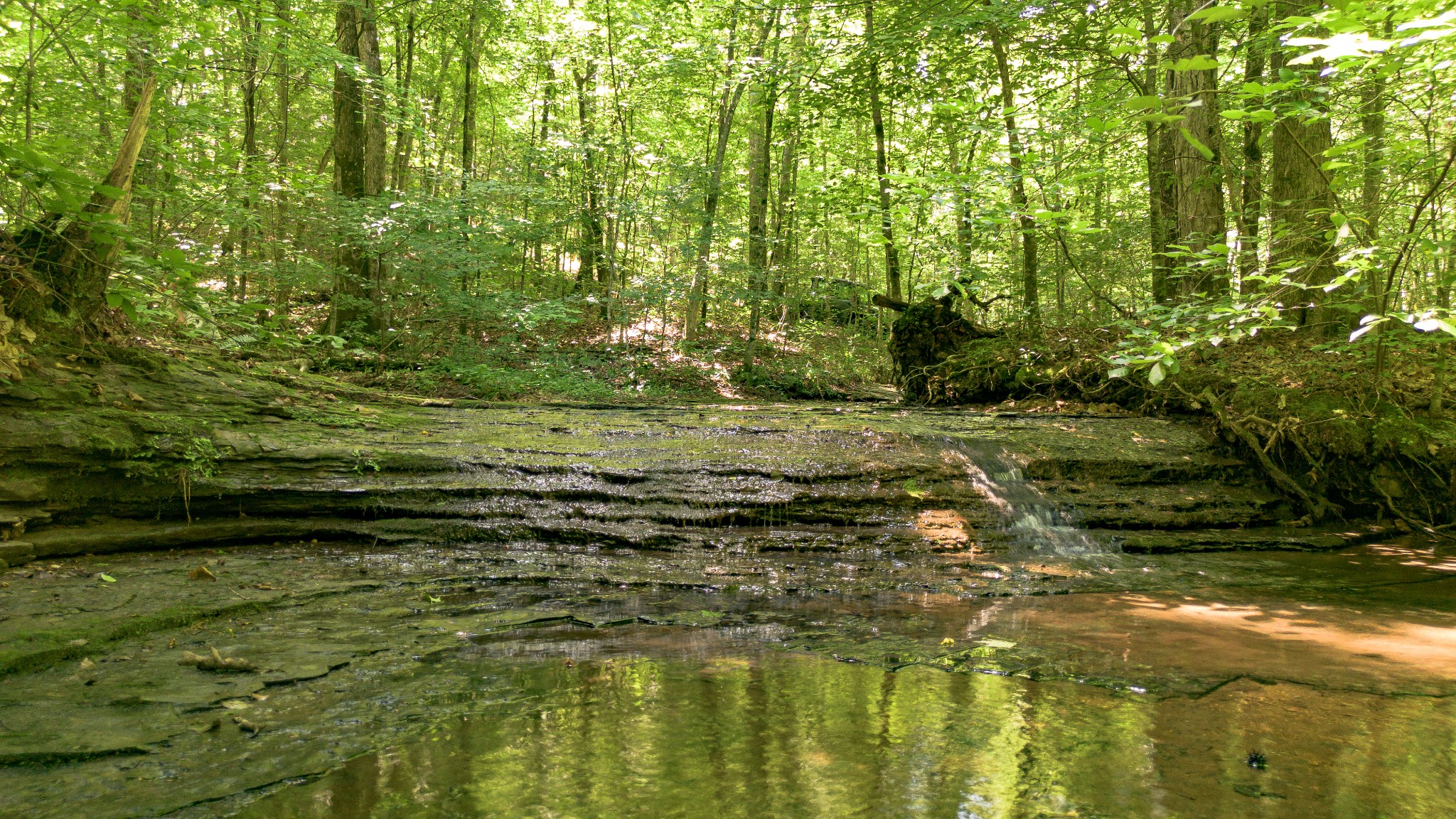 8234 Old Pond Creek Rd